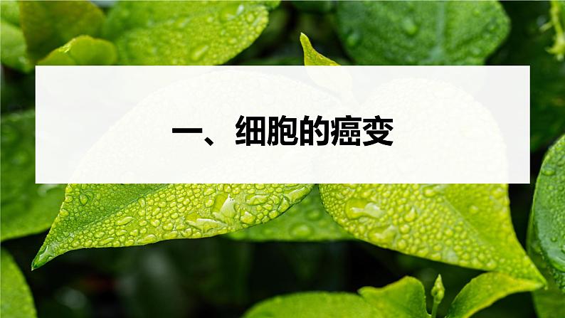 第5章　第1节　第2课时　细胞的癌变和基因重组第5页