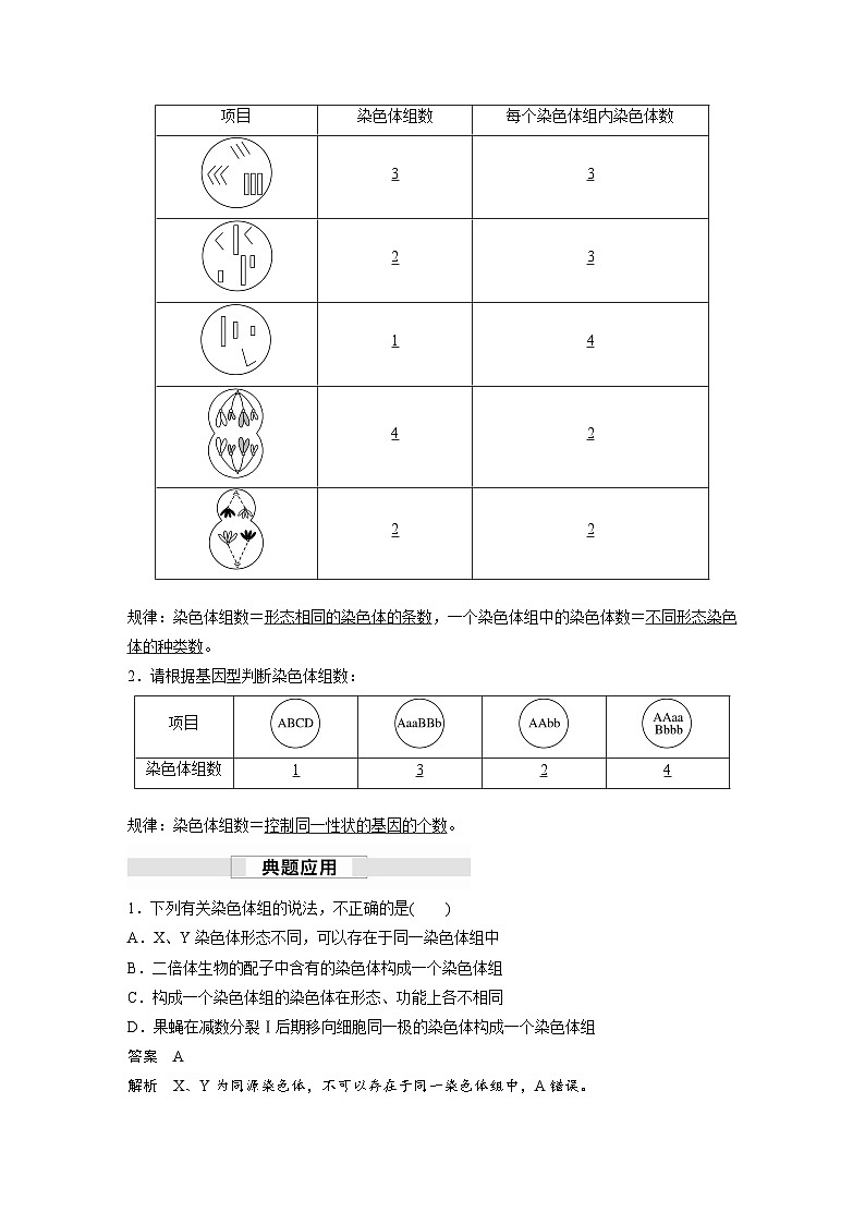 第5章　第2节　第1课时　染色体的数目变异及其应用（讲义）第3页