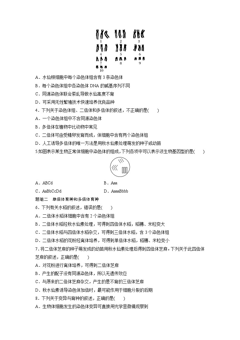 第5章　第2节　第1课时　染色体的数目变异及其应用（练习）第2页