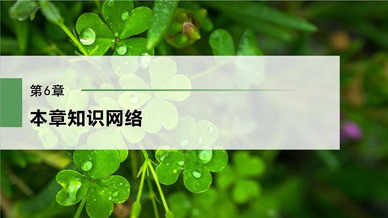 高中生物新教材同步必修第二册课件+讲义 第6章　本章知识网络02