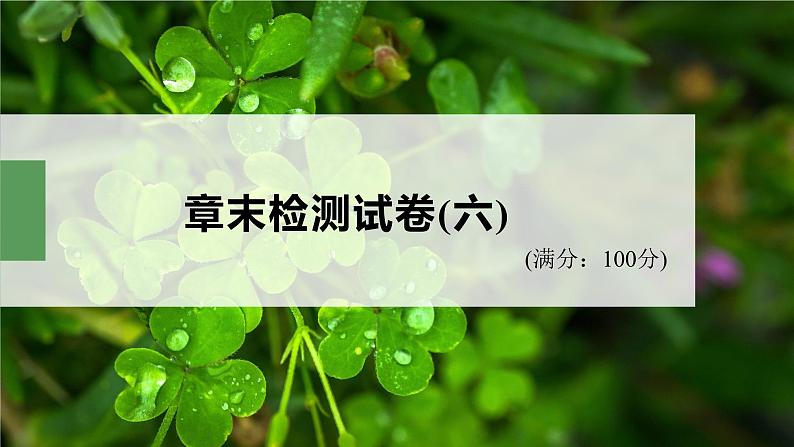 高中生物新教材同步必修第二册课件+讲义 第6章　章末检测试卷(六)02