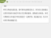 高中生物新教材同步必修第二册课件+讲义 第6章　章末检测试卷(六)