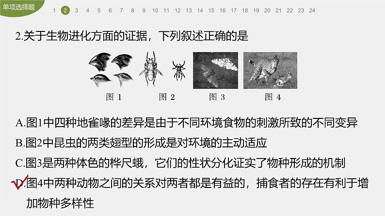 高中生物新教材同步必修第二册课件+讲义 第6章　章末检测试卷(六)05