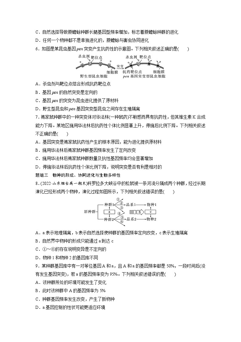 第6章　重点突破练(六)（练习）第3页