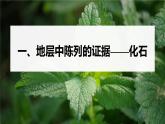 高中生物新教材同步必修第二册课件+讲义 第6章　第1节　生物有共同祖先的证据