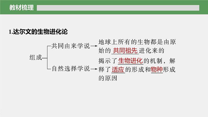 高中生物新教材同步必修第二册课件+讲义 第6章　第1节　生物有共同祖先的证据06