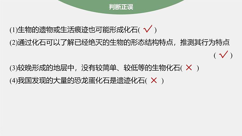 高中生物新教材同步必修第二册课件+讲义 第6章　第1节　生物有共同祖先的证据08