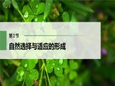高中生物新教材同步必修第二册课件+讲义 第6章　第2节　自然选择与适应的形成