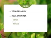 高中生物新教材同步必修第二册课件+讲义 第6章　第2节　自然选择与适应的形成