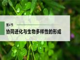 高中生物新教材同步必修第二册课件+讲义 第6章　第4节　协同进化与生物多样性的形成