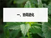 高中生物新教材同步必修第二册课件+讲义 第6章　第4节　协同进化与生物多样性的形成