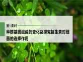 高中生物新教材同步必修第二册课件+讲义 第6章　第3节　第1课时　种群基因组成的变化及探究抗生素对细菌的选择作用