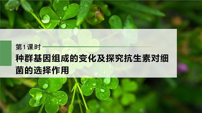 第6章　第3节　第1课时　种群基因组成的变化及探究抗生素对细菌的选择作用第2页