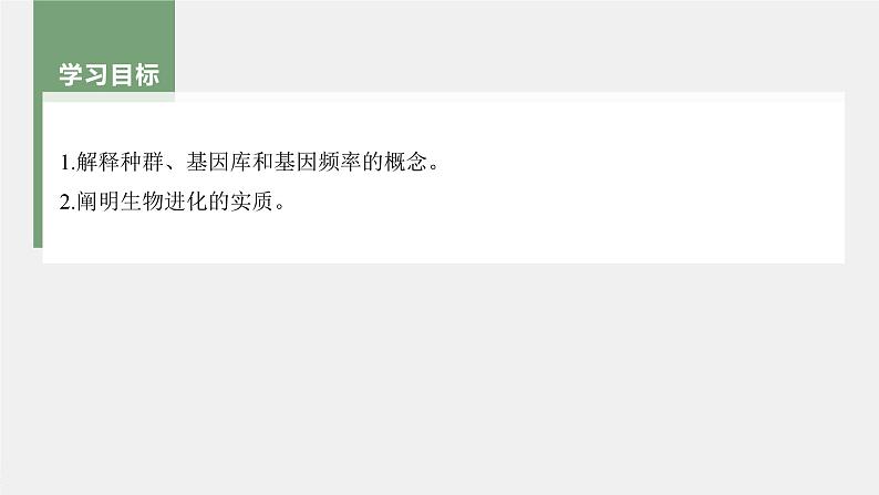 第6章　第3节　第1课时　种群基因组成的变化及探究抗生素对细菌的选择作用第3页