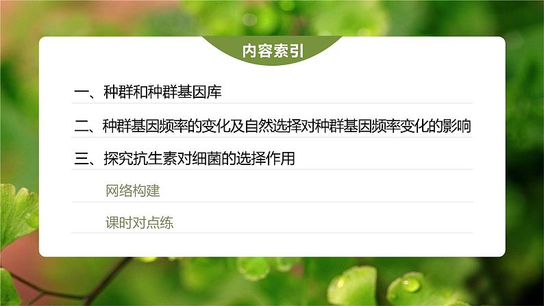 第6章　第3节　第1课时　种群基因组成的变化及探究抗生素对细菌的选择作用第4页