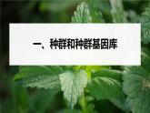 高中生物新教材同步必修第二册课件+讲义 第6章　第3节　第1课时　种群基因组成的变化及探究抗生素对细菌的选择作用