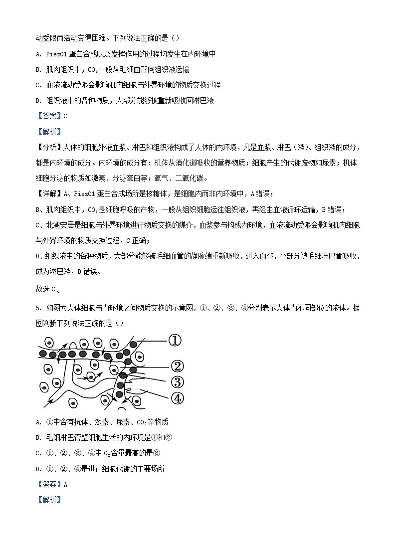 吉林省长春市2023_2024学年高二生物上学期期中试题含解析第3页