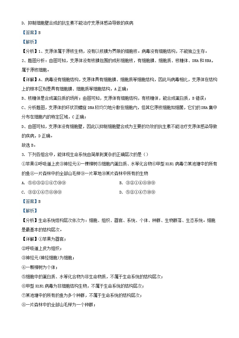 四川省达州市2023_2024学年高一生物上学期10月月考试题含解析第2页