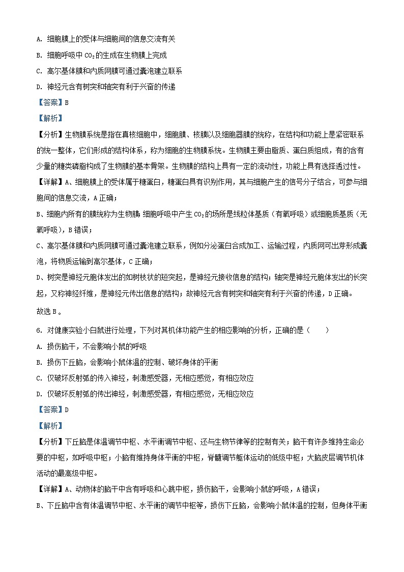 四川省南充市南部县2023_2024学年高二生物上学期10月月考试题含解析03