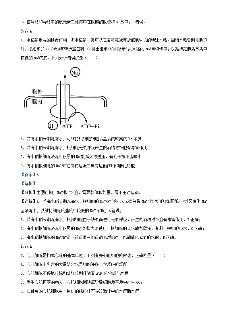 安徽省皖南八校2023_2024学年高三生物上学期10月第一次联考试题含解析第3页