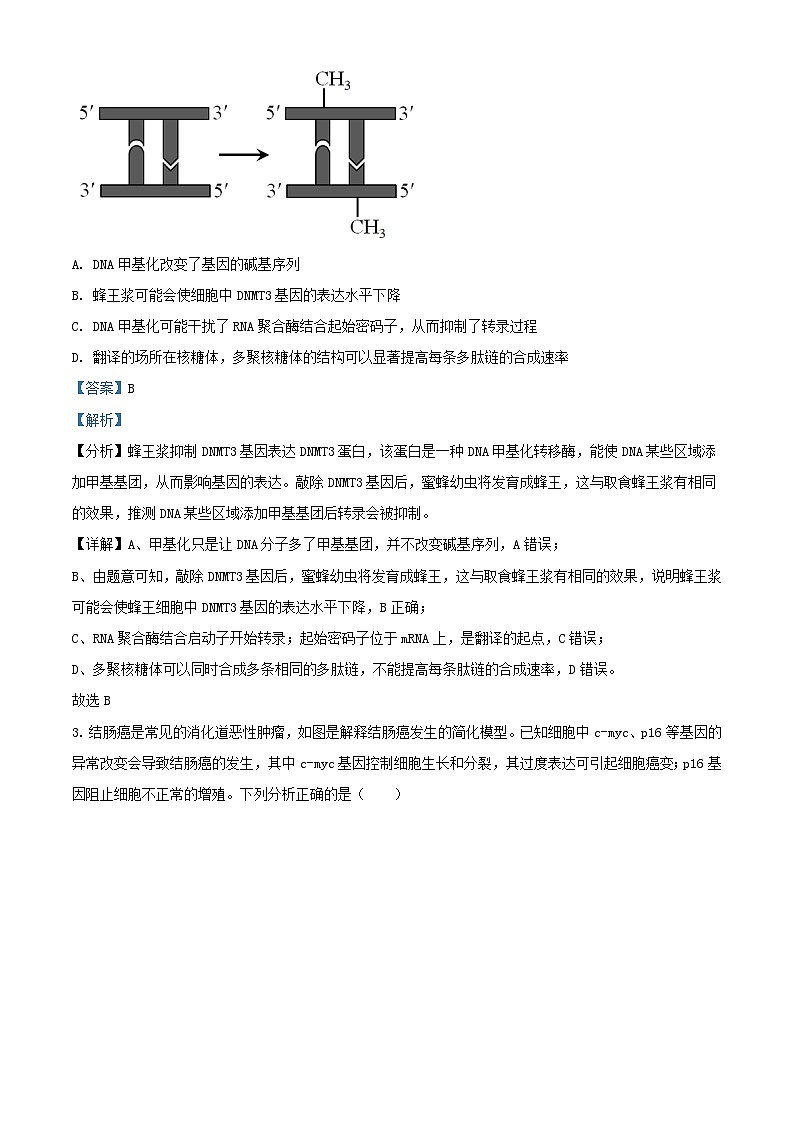 湖北省2023_2024学年高二生物上学期10月联考试题含解析第2页