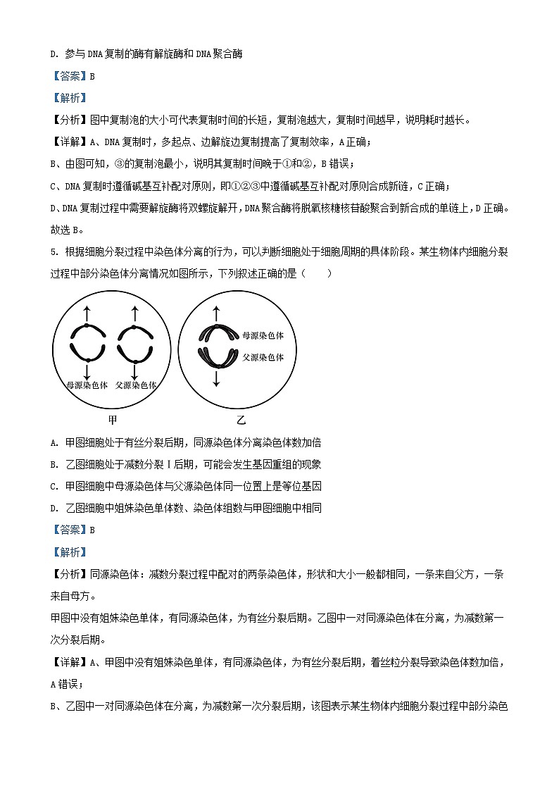 湖北省2023～2024学年高二生物上学期9月月考试题含解析第3页