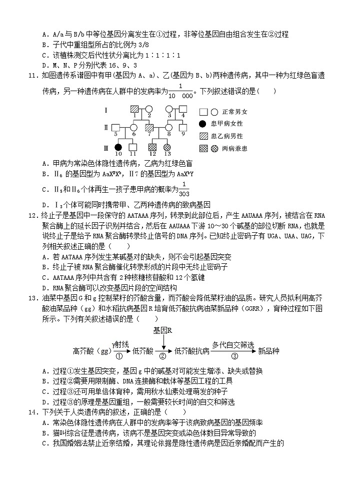 湖北剩州市2023_2024学年高三生物上学期10月月考第3页