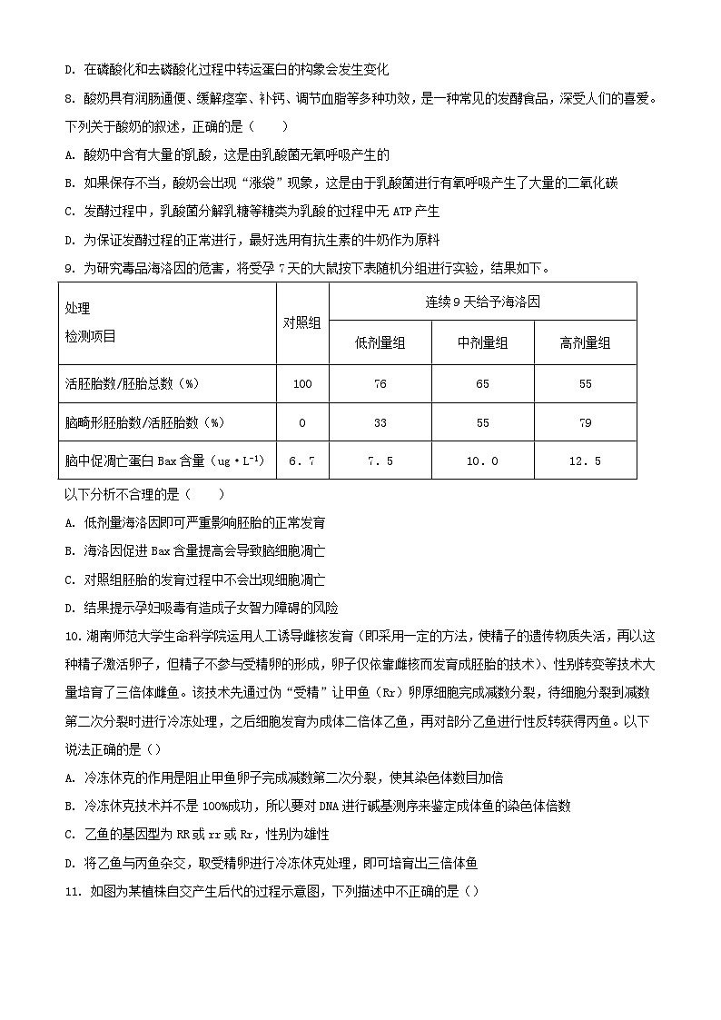 湖南省衡阳市2023_2024学年高三生物上学期10月月考试题含解析03
