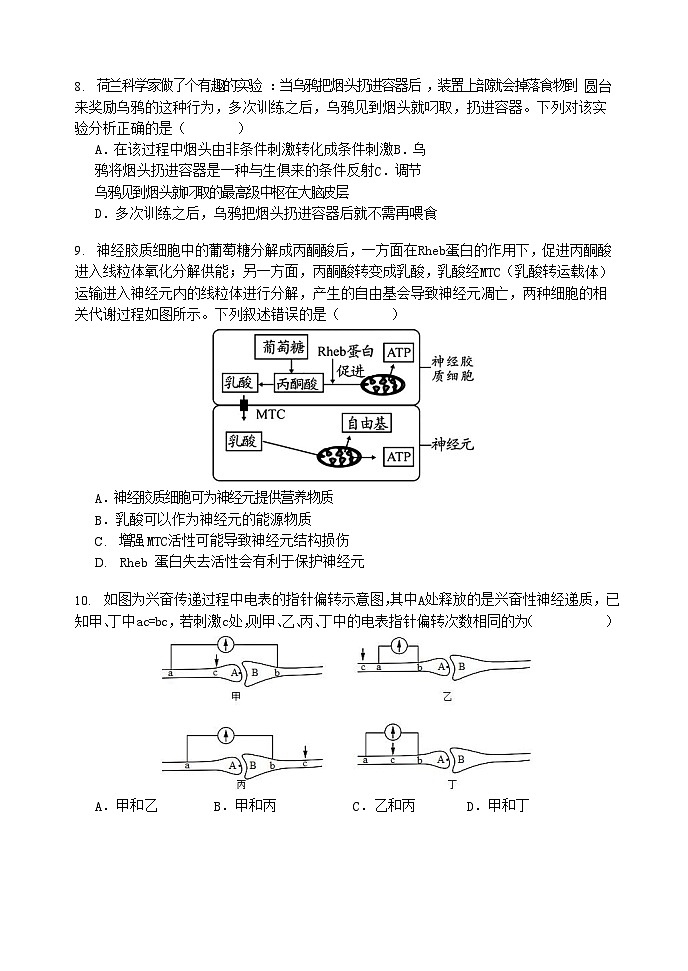 辽宁省滨城高中联盟2023_2024学年高二生物上学期10月月考试题无答案第3页