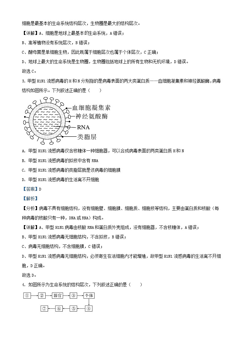 辽宁省辽东教学共同体2023_2024学年高一生物上学期10月联考试题含解析第2页
