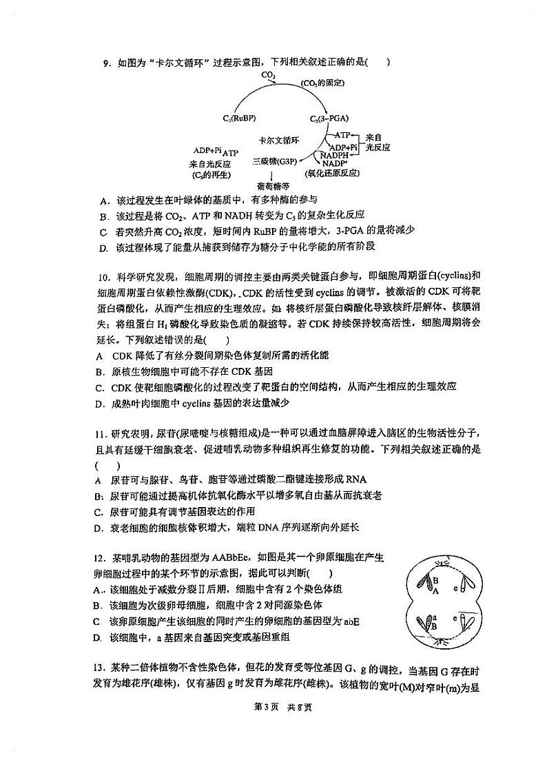 辽宁省沈阳市2023_2024学年高三生物上学期10月阶段测试试题pdf无答案第3页