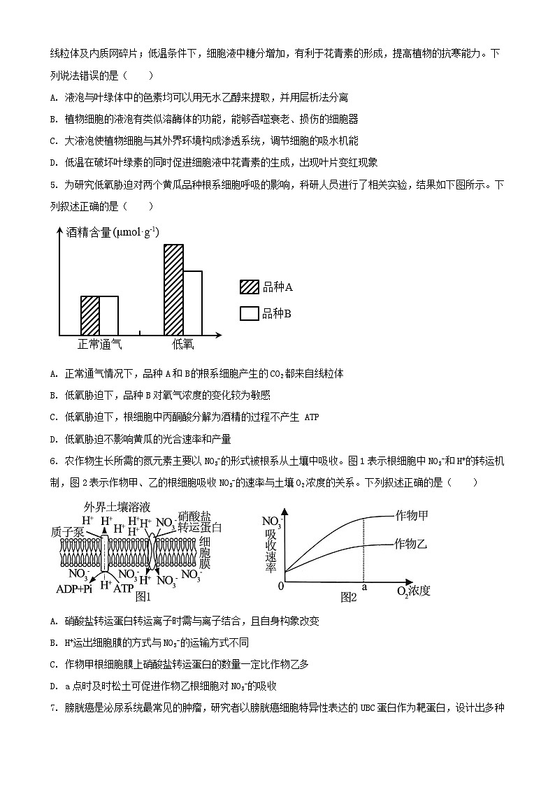 山东省2023_2024学年高三生物上学期第次一诊断考试10月含解析第2页