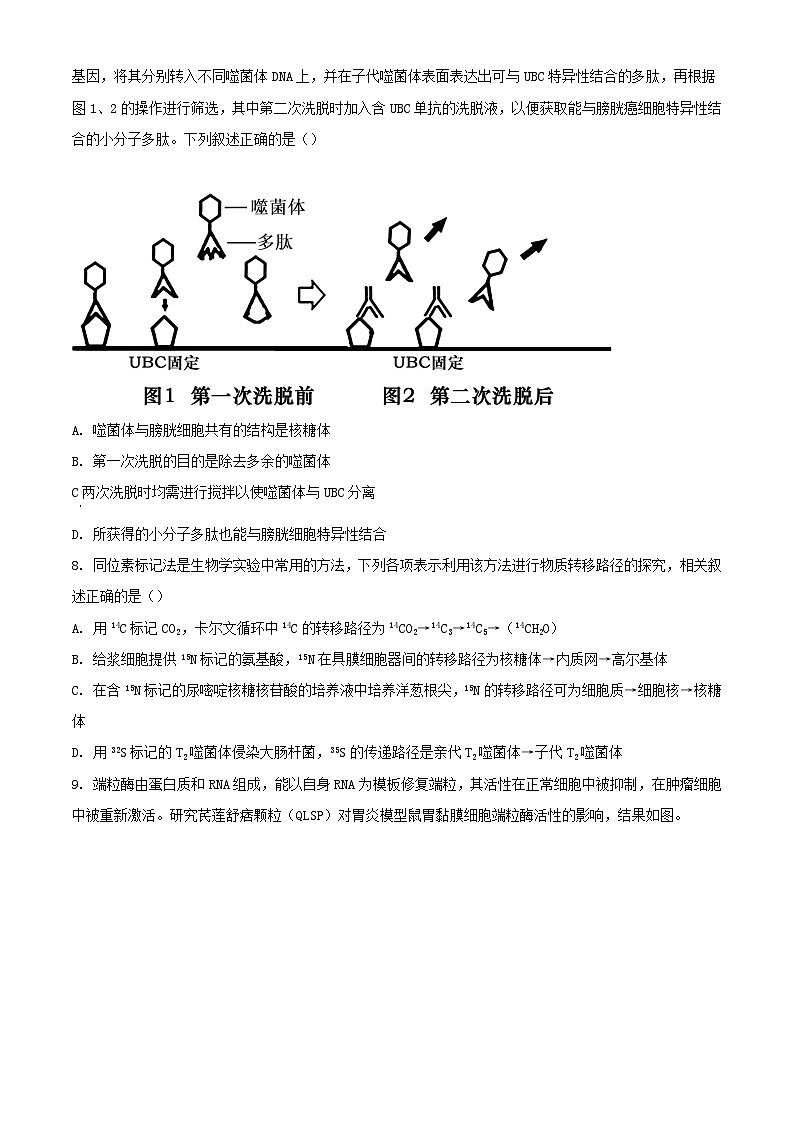 山东省2023_2024学年高三生物上学期第次一诊断考试10月含解析第3页