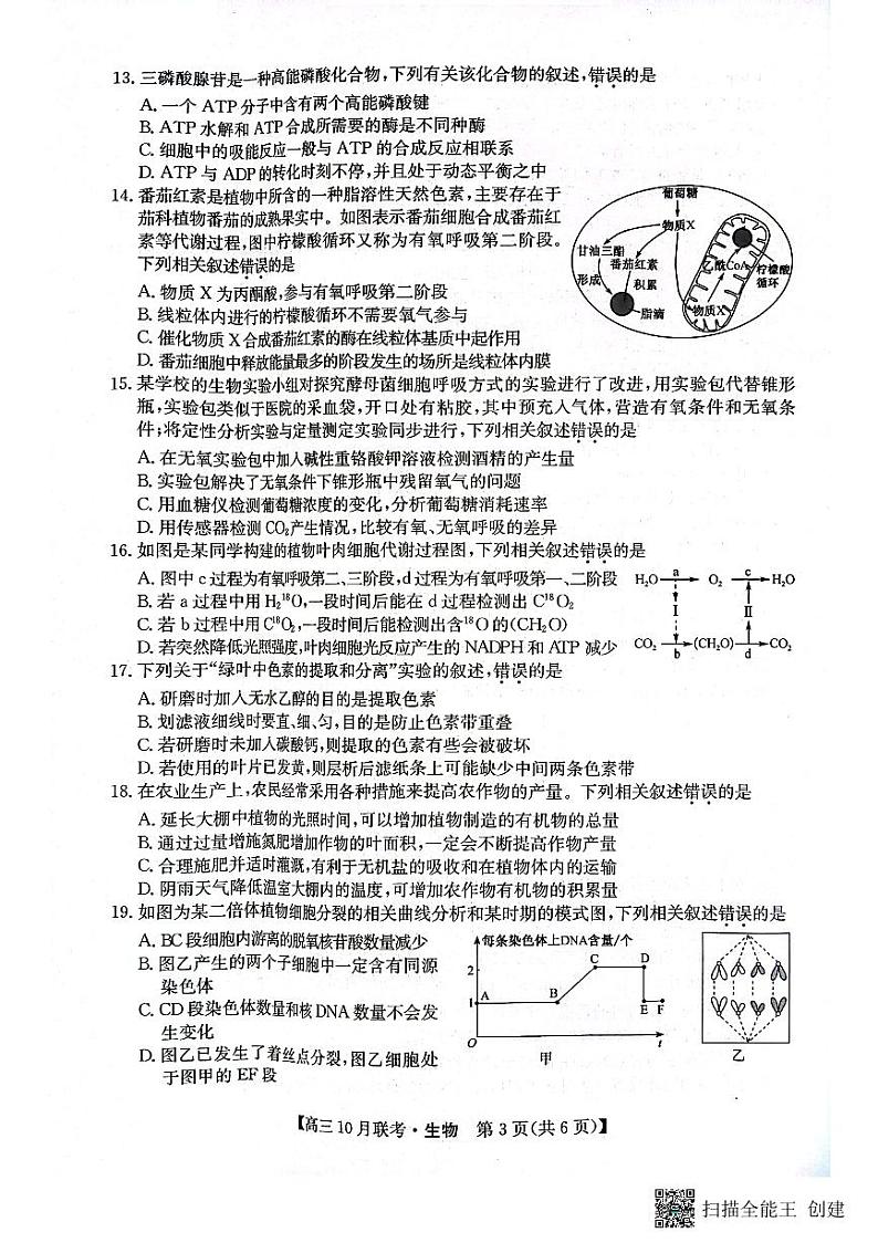 陕西省安康市重点名校2024届高三生物上学期10月联考试题pdf含解析第3页