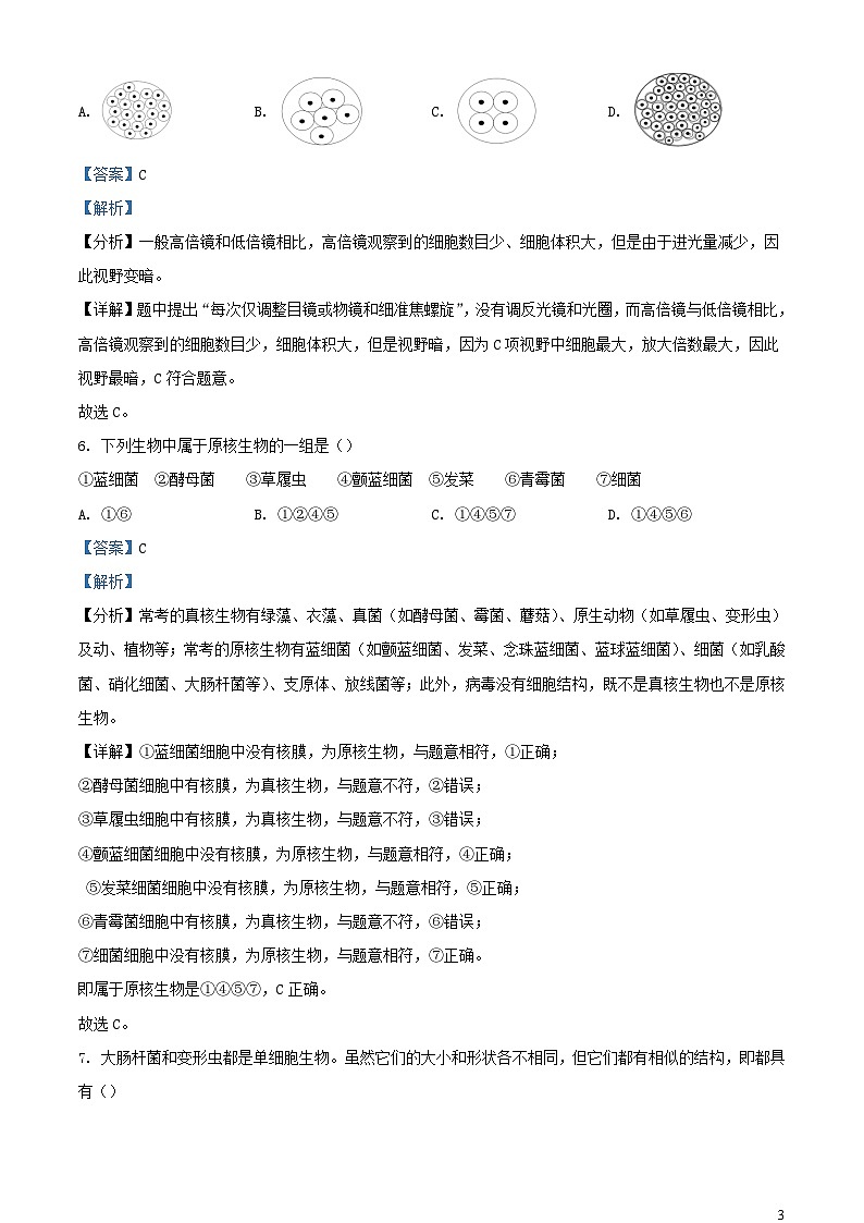 四川省成都市2023_2024学年高一生物上学期10月月考试题含解析第3页
