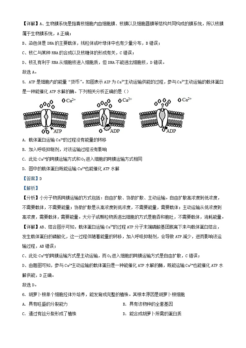 四川省南充市2023_2024学年高二生物上学期10月月考试题含解析第3页
