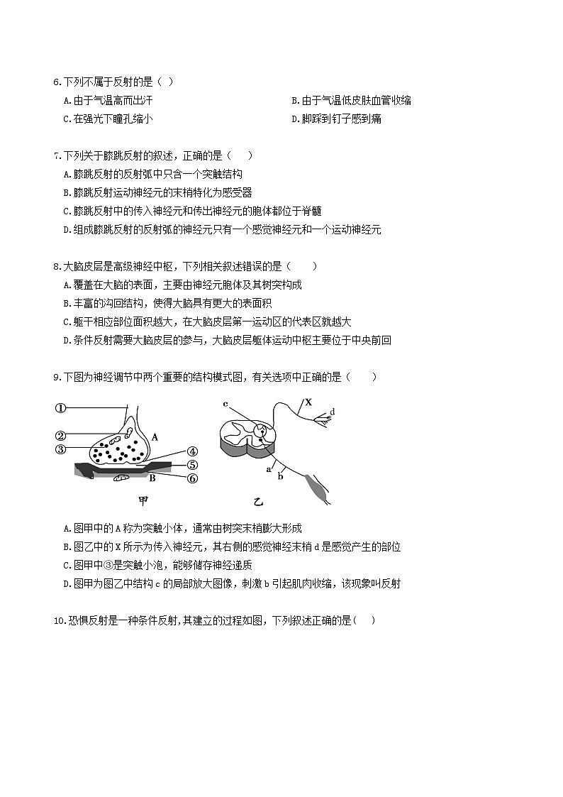 四川省宜宾市2023_2024学年高二生物上学期10月月考试题02