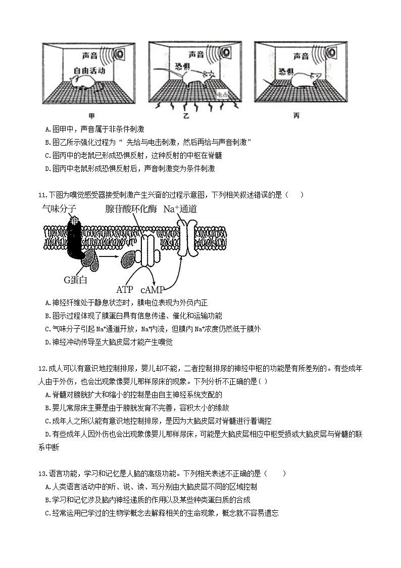 四川省宜宾市2023_2024学年高二生物上学期10月月考试题03