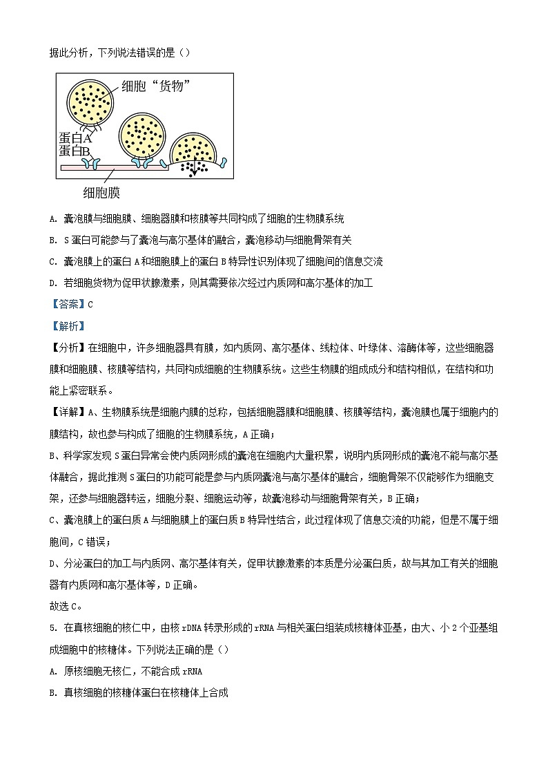 安徽省2023_2024学年高三生物上学期10月联考试题含解析第3页