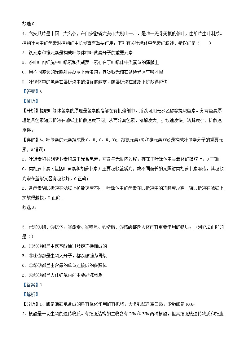 安徽省六安市2023_2024学年高三生物上学期10月月考试题含解析03