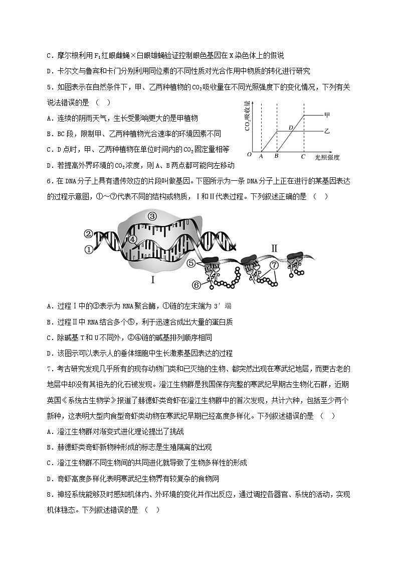 广东省四校联考2023_2024学年高三生物上学期10月月考试题第2页