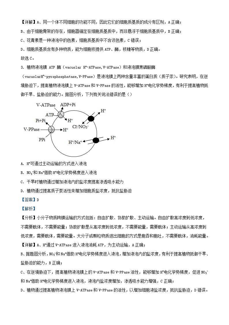 广西壮族自治区2023_2024学年高三生物上学期10月第一次月考试题含解析第2页