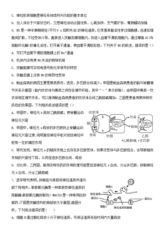 河北省保定市部分高中2023_2024学年高二生物上学期10月月考试题第2页