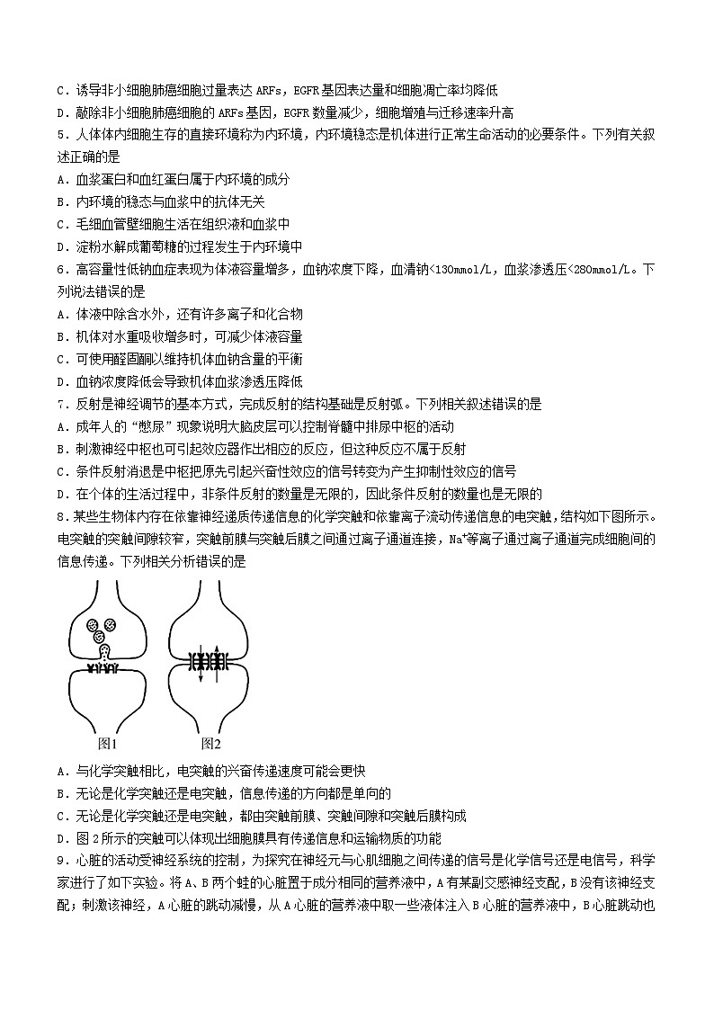 湖南省部分校2023_2024学年高二生物上学期10月联考试题含解析第2页