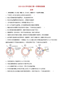 江苏省海安市2023_2024学年高三生物上学期10月月考试题含解析