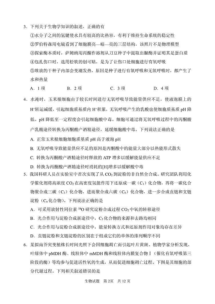 2024年11月高三 实验二诊生物试题第2页