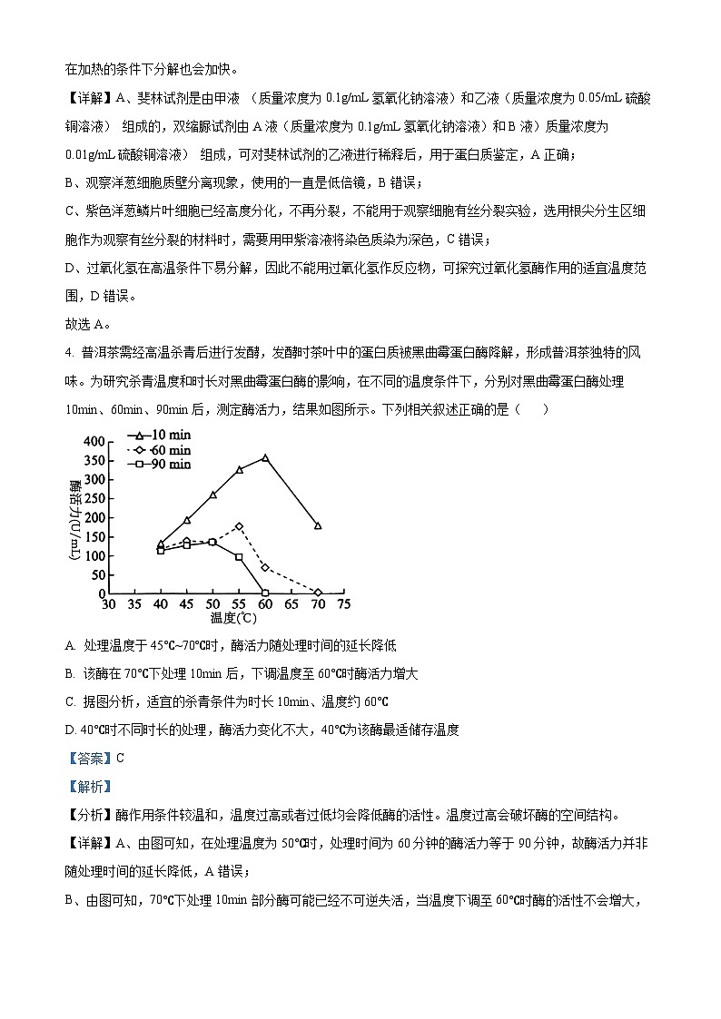 江苏省盐城市五校联考2024-2025学年高三上学期10月月考生物试题含解析第3页