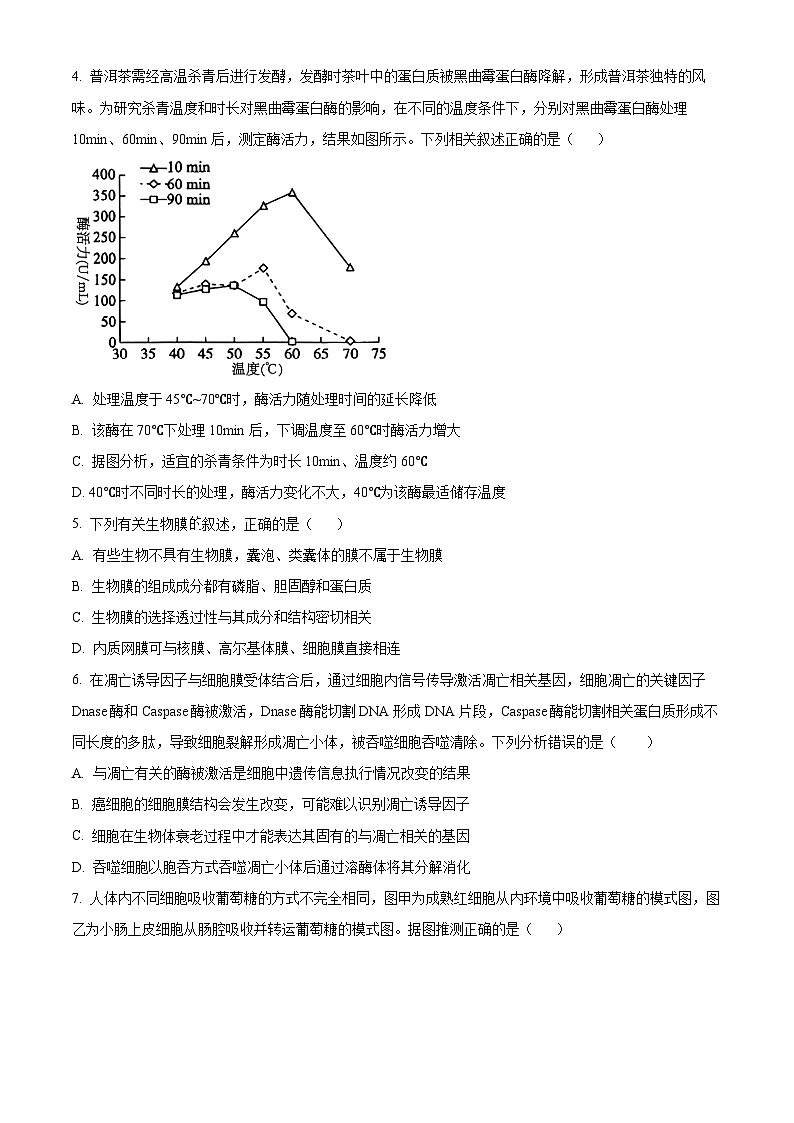 江苏省盐城市五校联考2024-2025学年高三上学期10月月考生物试题无答案第2页