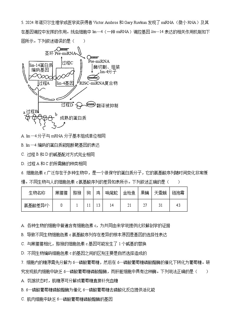 2025河北省部分学校高三上学期11月阶段调研检测二生物含答案第2页