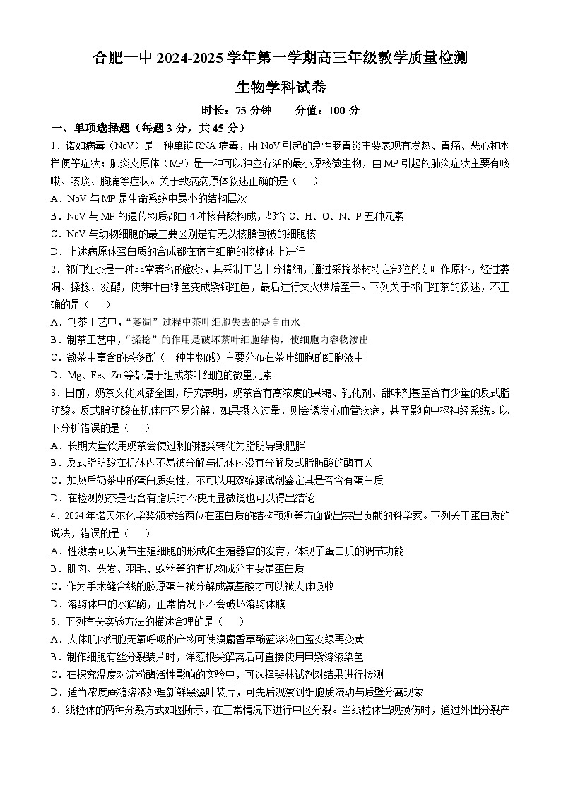 2025合肥一中高三上学期11月教学质量检测试题生物含答案第1页